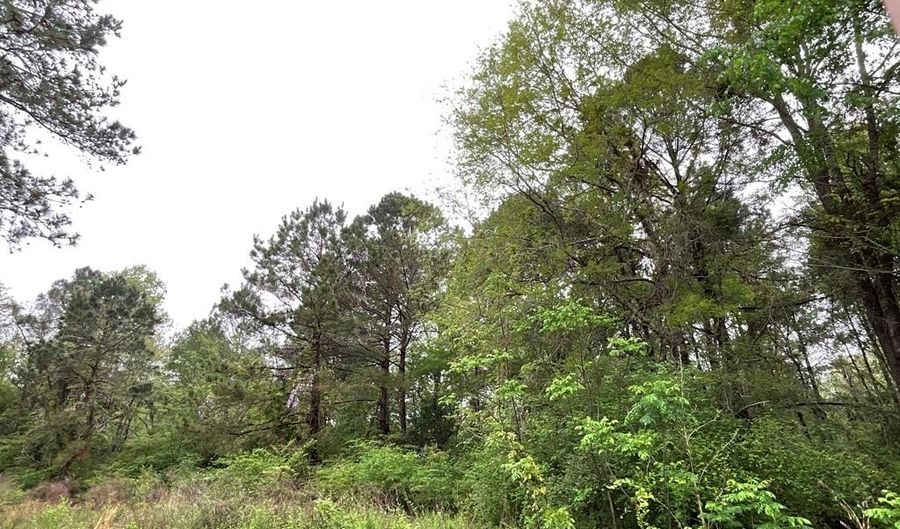 S Sawmill loop, Abbeville, GA 31001 - 0 Beds, 0 Bath