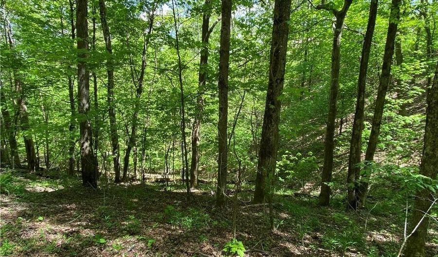 Lot 29 Grandfather Watch Lane, Banner Elk, NC 28604 - 0 Beds, 0 Bath