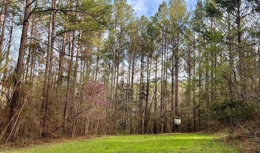 5000 County Road 53, Banks, AL 36005 - 0 Beds, 0 Bath
