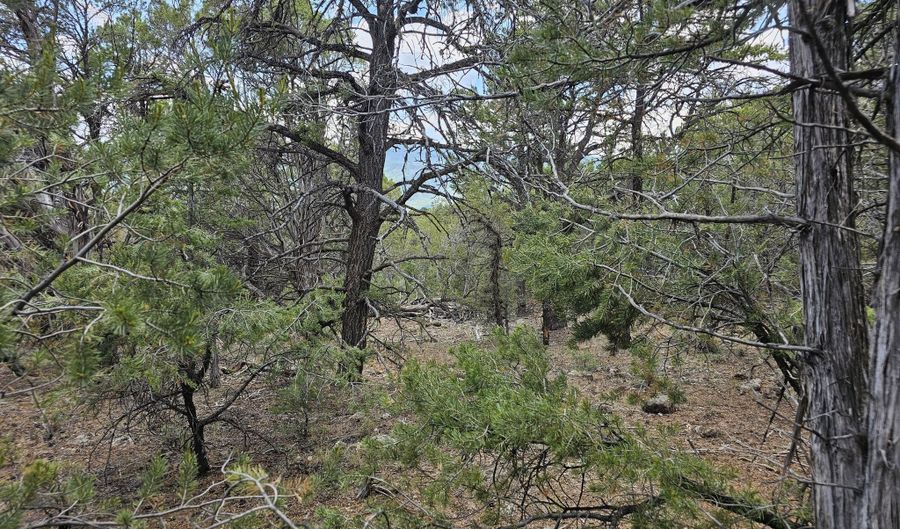 3221 Elk Springs Dr, Glenwood Springs, CO 81601 - 0 Beds, 0 Bath