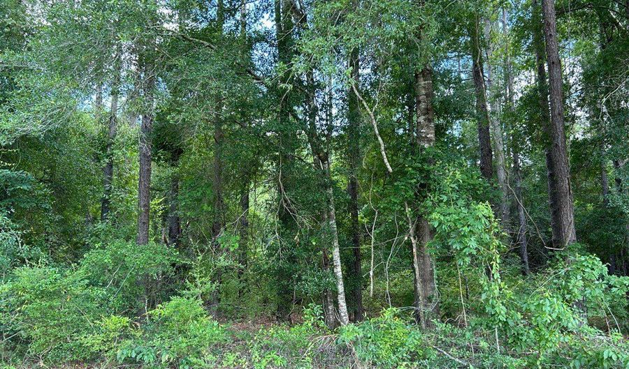 Crestview Dr lot 38, Abbeville, GA 31001 - 0 Beds, 0 Bath