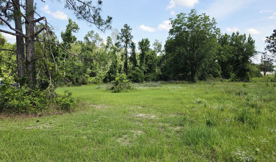 Sawmill, Ailey, GA 30410 - 0 Beds, 0 Bath
