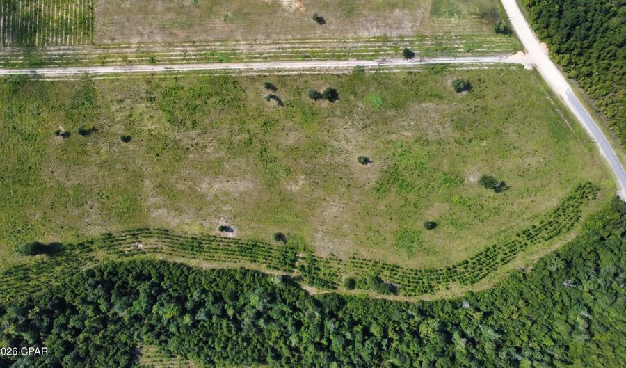 Bailey Cemetery Road, Altha, FL 32421 - 0 Beds, 0 Bath