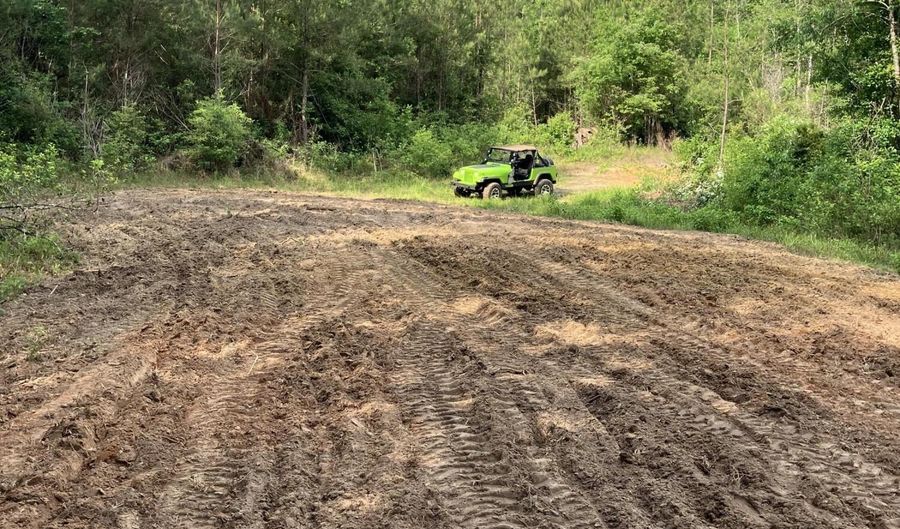 40 Acres Forestry Road 356, Beaumont, MS 39423 - 0 Beds, 0 Bath