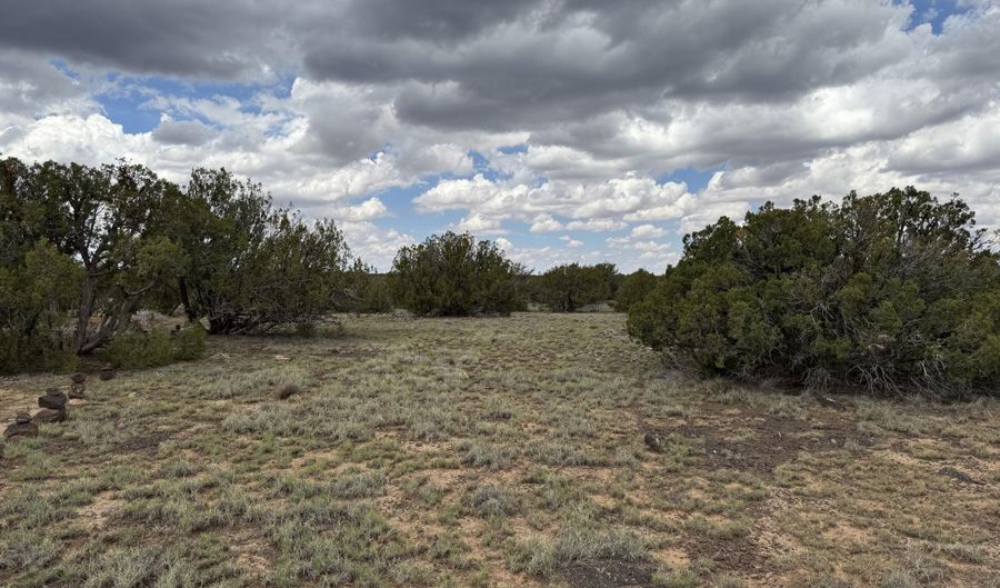 214 CR 8051, Concho, AZ 85924 - 0 Beds, 0 Bath