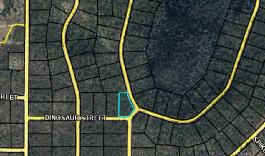 Grand Quiviera Circle, Alford, FL 32420 - 0 Beds, 0 Bath