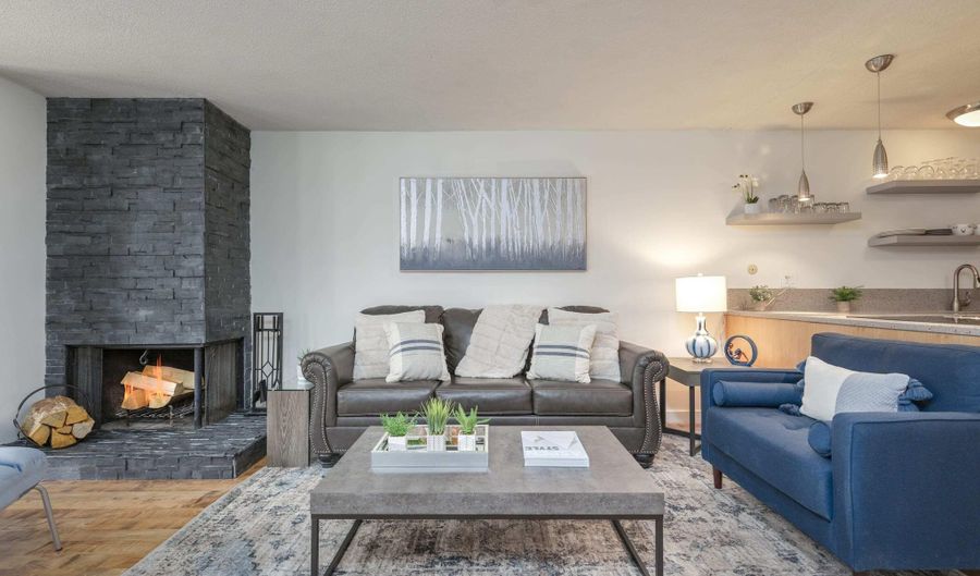 210 E Cooper Ave 1C, Aspen, CO 81611 - 1 Beds, 1 Bath