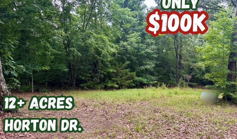 12 Acres Horton Dr, Abbeville, SC 29620 - 0 Beds, 0 Bath