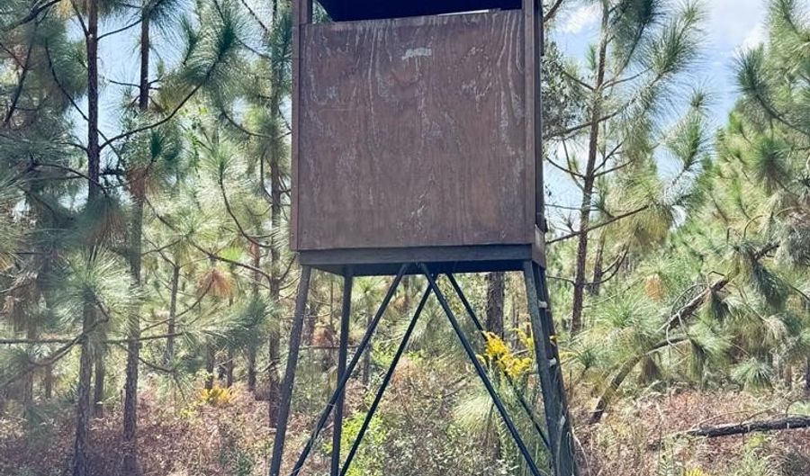 100 Doc Hunter Rd, Baxley, GA 31513 - 0 Beds, 0 Bath