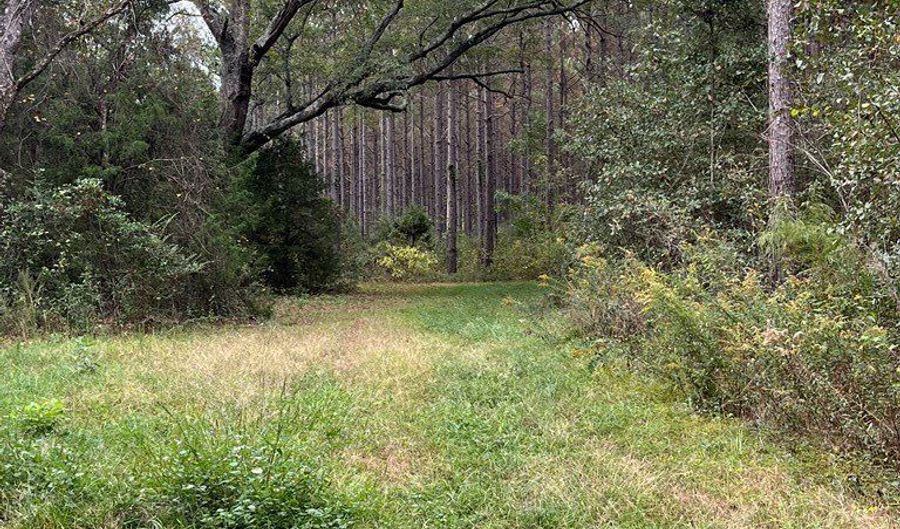 0 County Road 79 S, Baker Hill, AL 36027 - 0 Beds, 0 Bath