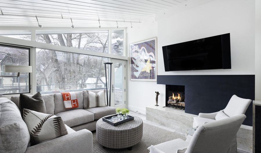 1001 E Cooper Ave 2, Aspen, CO 81611 - 3 Beds, 3 Bath