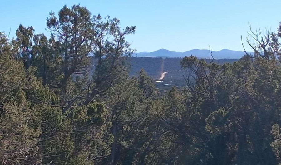 0203 County Rd, Concho, AZ 85924 - 0 Beds, 0 Bath