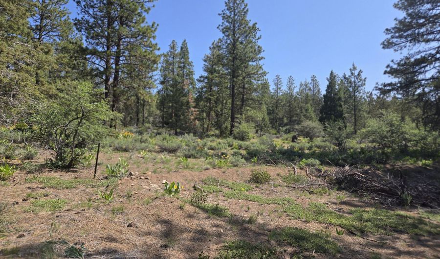 Meadow Lark Drive Lot 12, Bonanza, OR 97623 - 0 Beds, 0 Bath