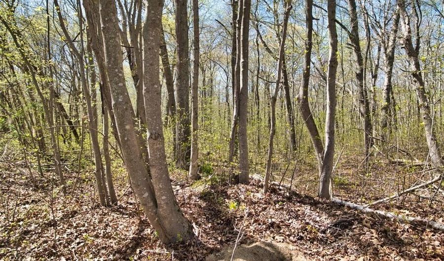 Platt Street, Bristol, RI 02809 - 0 Beds, 0 Bath