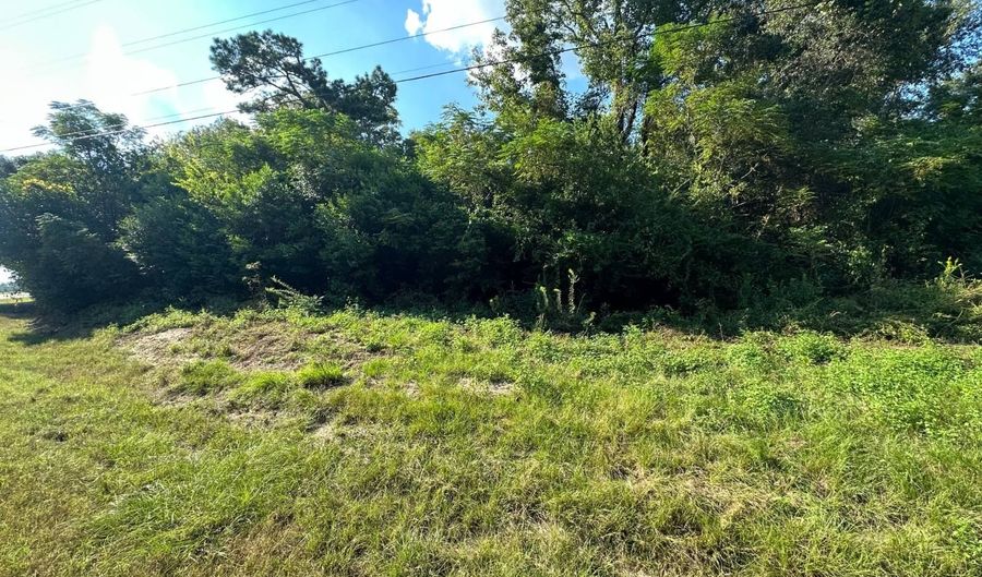 0 Hwy 51, Ariton, AL 36311 - 0 Beds, 0 Bath