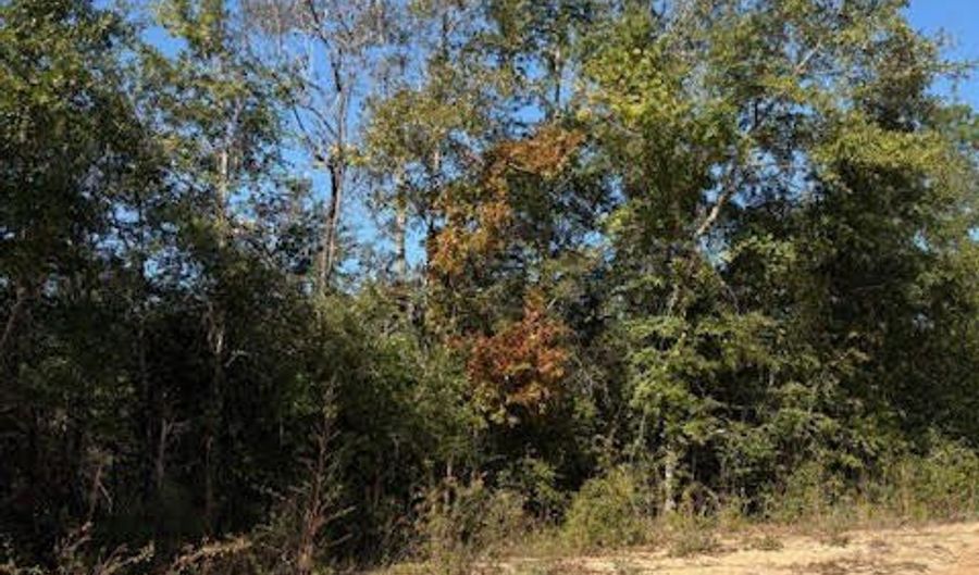 Southern Boulevard lot 27, Alford, FL 32420 - 0 Beds, 0 Bath