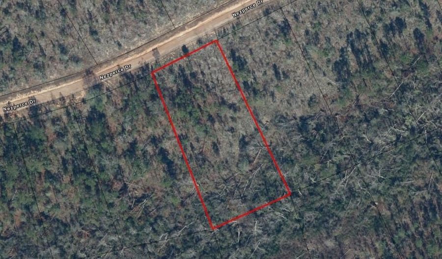 Nezperce Drive, Alford, FL 32420 - 0 Beds, 0 Bath