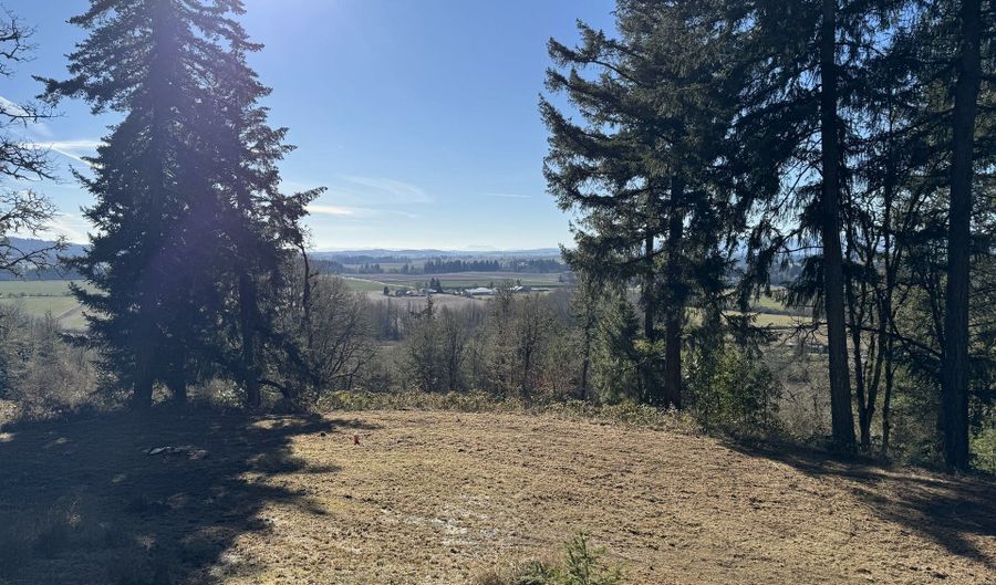 SE Rice Ln, Amity, OR 97101 - 0 Beds, 0 Bath