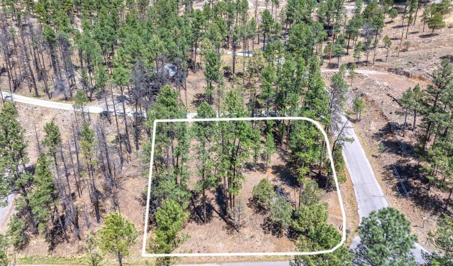 223 Lake Shore Dr Lot 1, Alto, NM 88312 - 0 Beds, 0 Bath