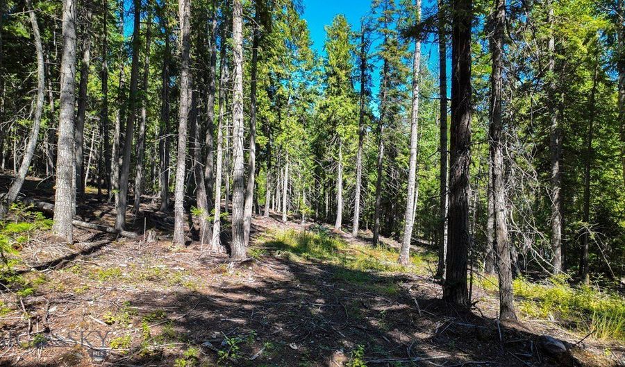 Swan Shores Lane, Bigfork, MT 59911 - 0 Beds, 0 Bath