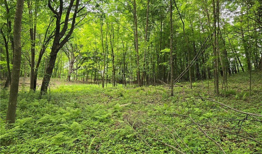Xxx 120th Avenue, Amery, WI 54001 - 0 Beds, 0 Bath