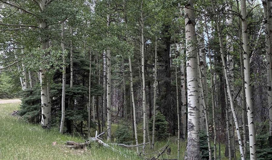 Back Basin Road lot 4, Angel Fire, NM 87710 - 0 Beds, 0 Bath
