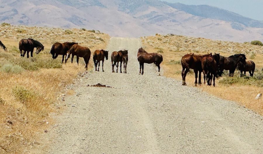 T32 Sec 27, Imlay, NV 89418 - 0 Beds, 0 Bath