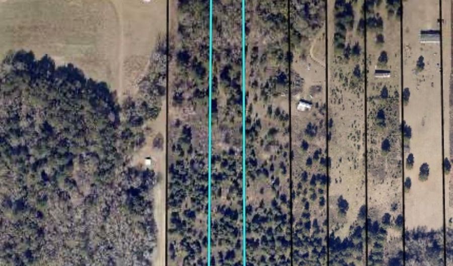 Story Rd. Lot # 2 lot 2, Arabi, GA 31712 - 0 Beds, 0 Bath