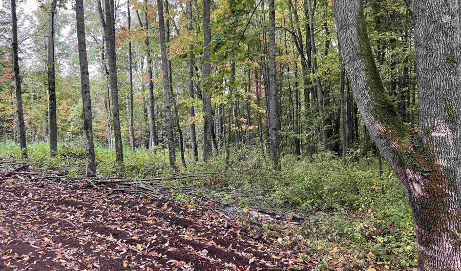 002 Duck Pond Rd Lot #2, Barton, VT 05822 - 0 Beds, 0 Bath