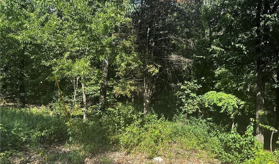 Allendale DR, Bella Vista, AR 72714 - 0 Beds, 0 Bath