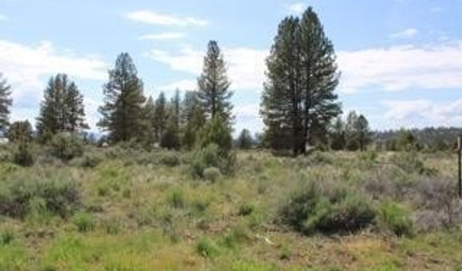 Deer Springs Road, Beatty, OR 97621 - 0 Beds, 0 Bath
