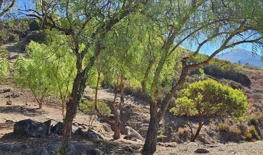 0 Calle Mia, Alpine, CA 91901 - 0 Beds, 0 Bath