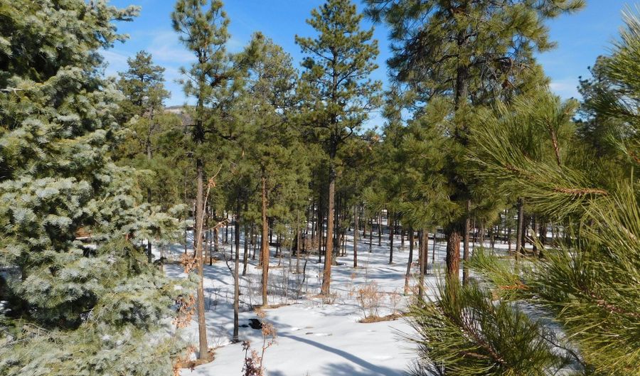 Lot 29 Eric Lane, Alpine, AZ 85920 - 0 Beds, 0 Bath