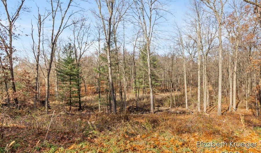 8965 Vergennes St SE, Ada, MI 49301 - 0 Beds, 0 Bath