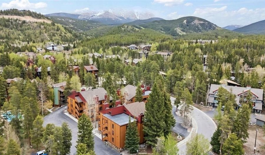 800 Columbine Rd C1, Breckenridge, CO 80424 - 2 Beds, 2 Bath