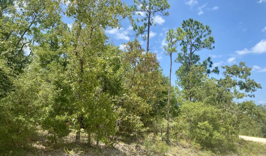 Noble Circle lot 13, Alford, FL 32420 - 0 Beds, 0 Bath
