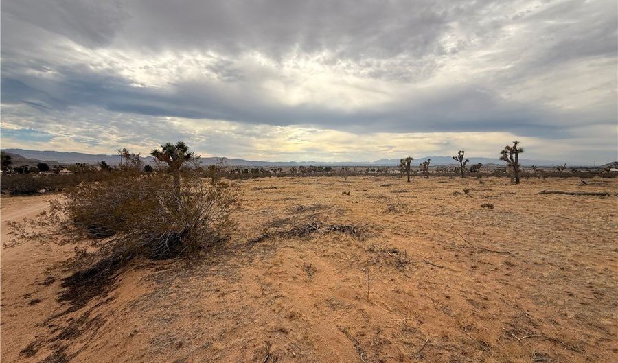 16252 Olema Rd, Apple Valley, CA 92307 - 0 Beds, 0 Bath