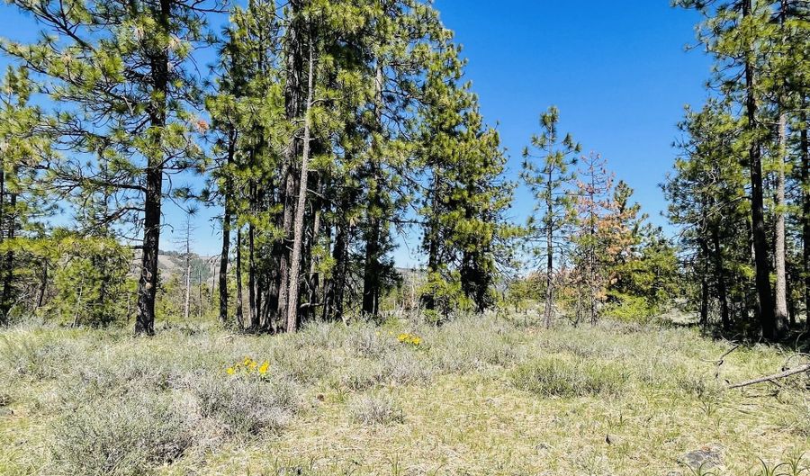 Jensen Quarry RD, Bickleton, WA 99322 - 0 Beds, 0 Bath