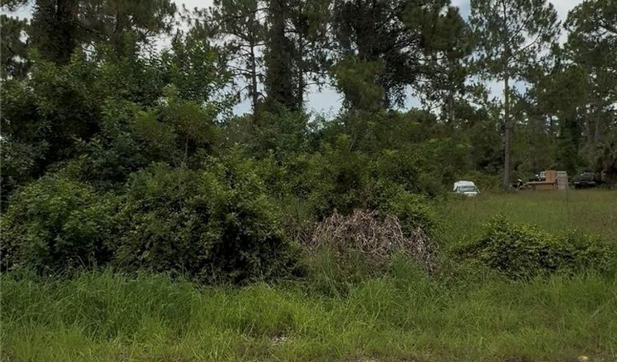 2018 Leroy Ave, Alva, FL 33920 - 0 Beds, 0 Bath