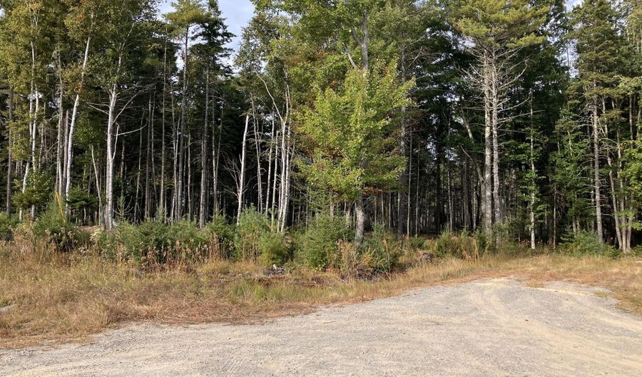 Lot 5 Bluff Road, Bar Harbor, ME 04609 - 0 Beds, 0 Bath