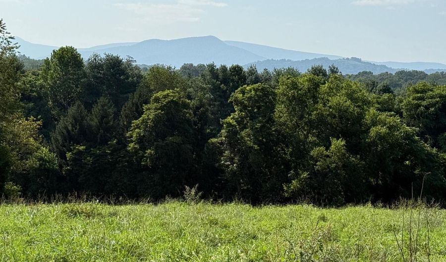 14105 LEE Hwy, Amissville, VA 20106 - 2 Beds, 2 Bath