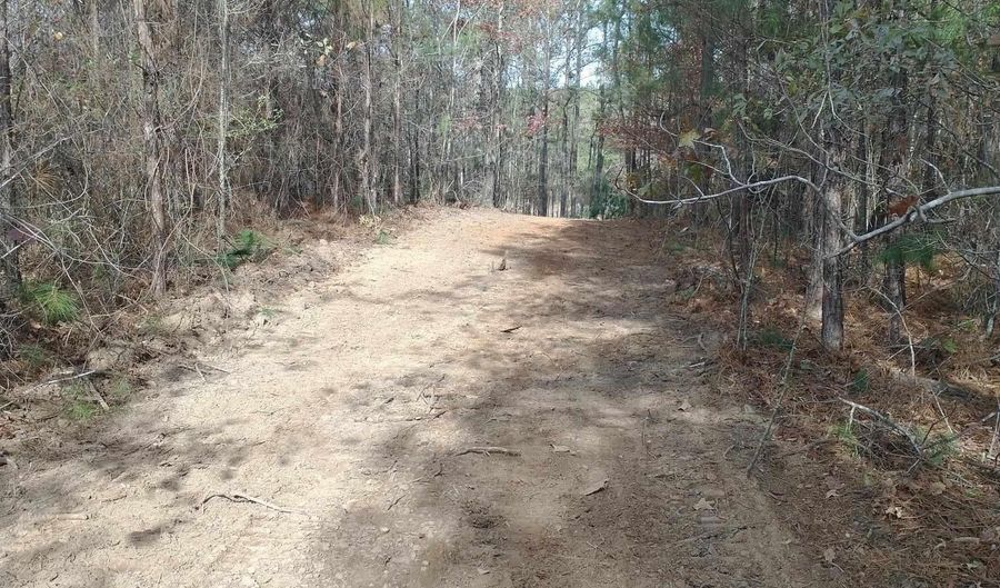 334 SERENITY Ln Lot 1, Alpine, AL 35014 - 0 Beds, 0 Bath