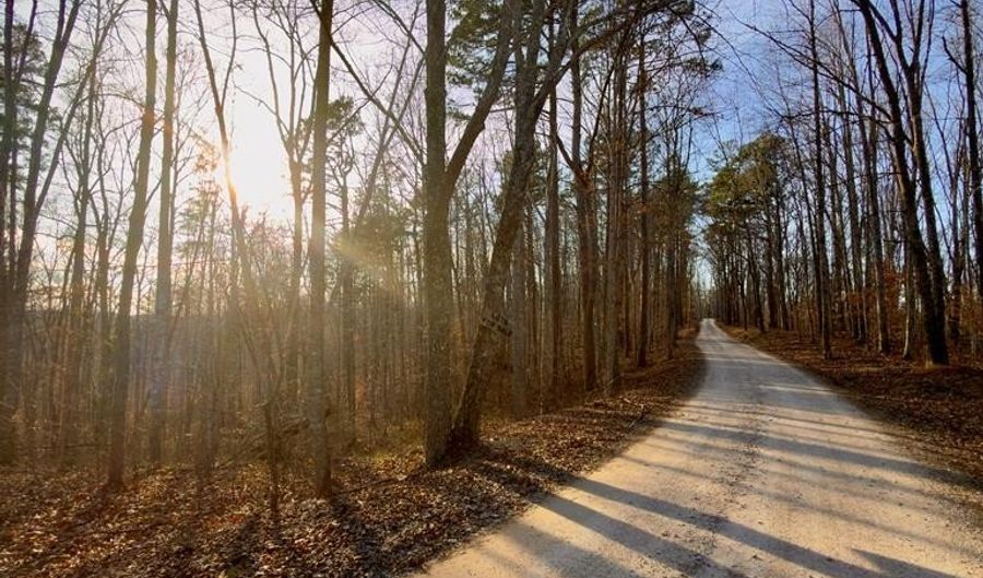 Muddy Ridge Rd, Adams, KY 41201 - 0 Beds, 0 Bath