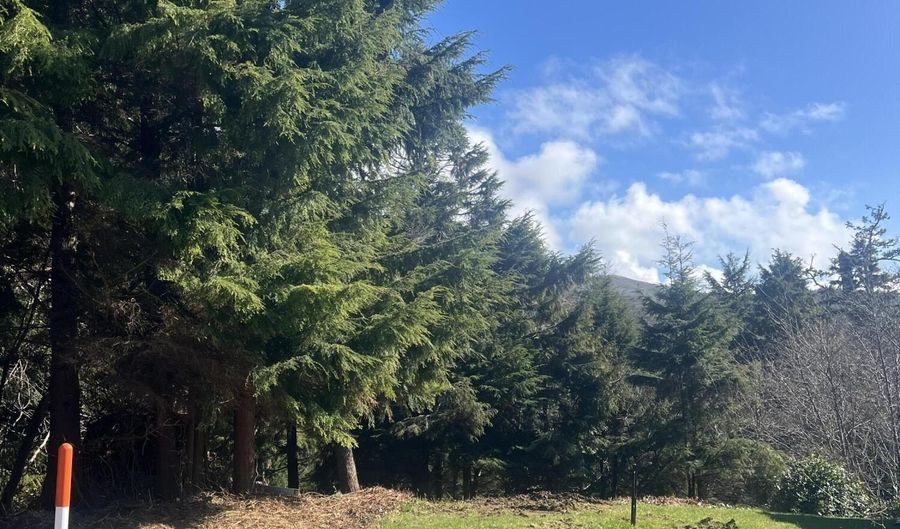 Lot 57 Pacific View Drive TL3700, Rockaway Beach, OR 97136 - 0 Beds, 0 Bath