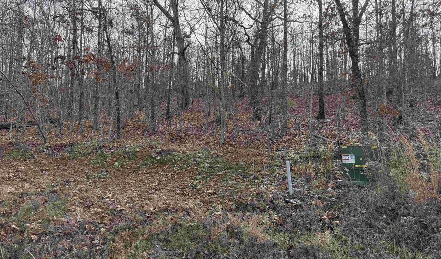 Tract 91 Vernon Court Road, Austin, AR 72007 - 0 Beds, 0 Bath