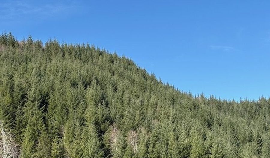 Logsden Rd, Blodgett, OR 97326 - 0 Beds, 0 Bath