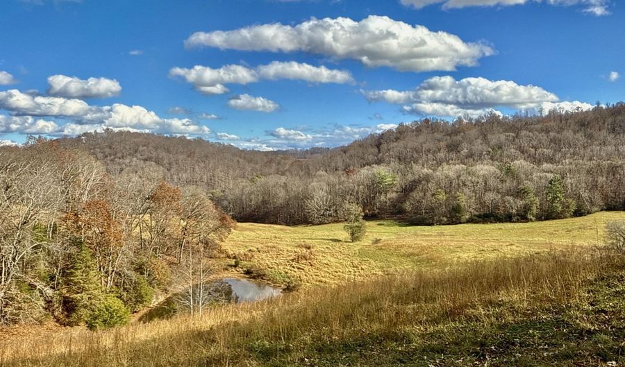 1520 Brittontown Rd, Afton, TN 37616 - 0 Beds, 0 Bath