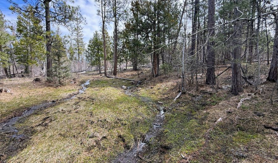 0 Yellowjacket Springs Rd, Beatty, OR 97621 - 0 Beds, 0 Bath