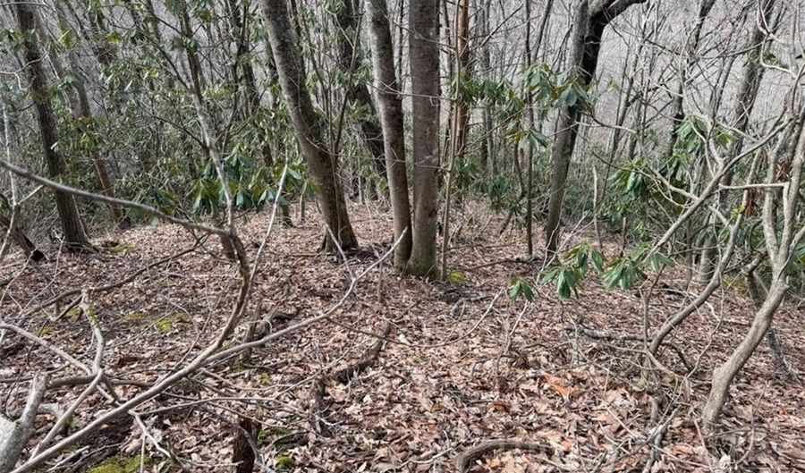 2 13 Acres Big Ridge Rd, Bakersville, NC 28705 - 0 Beds, 0 Bath