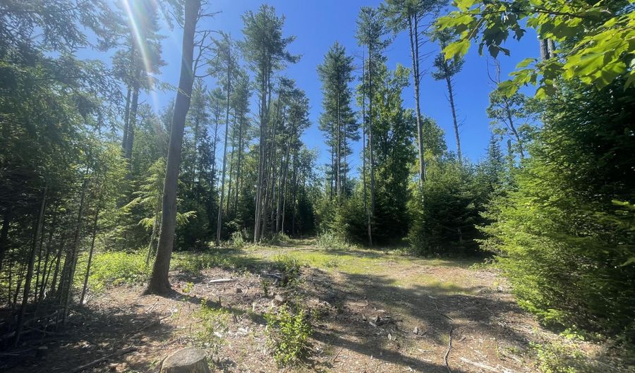 9 Forest Dr, Arundel, ME 04046 - 0 Beds, 0 Bath